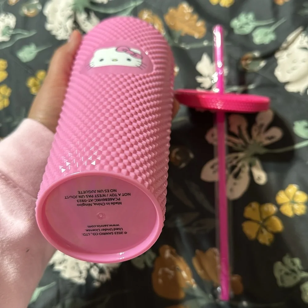Hello Kitty Tumblr - Picture 5 of 5